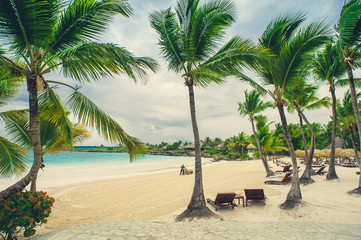 Relaxing on remote Tropical Paradise beach in Dominican Republic