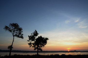 silhouette tree back sunrise over the Mekong river
