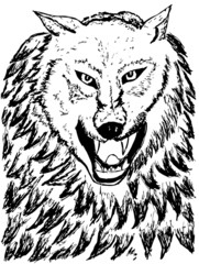 Abstract Wolf Sketch