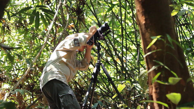 Wildlife Photographer taking picture in the rainforest jungle