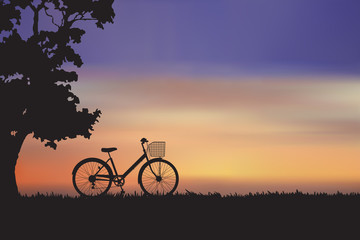 Fototapeta na wymiar The bike with sunset on the meadow