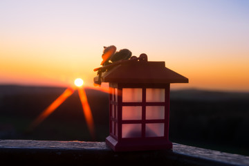 Naklejka na ściany i meble Lantern in the sunset