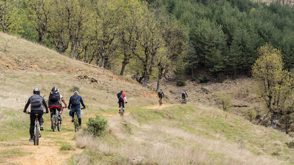 Group of mountain bikers in the forest.