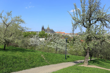 View on the spring Prague gothic Castle, Czech Republic
