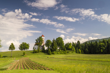 Rolnicy przy pracy na polu na Słowenii