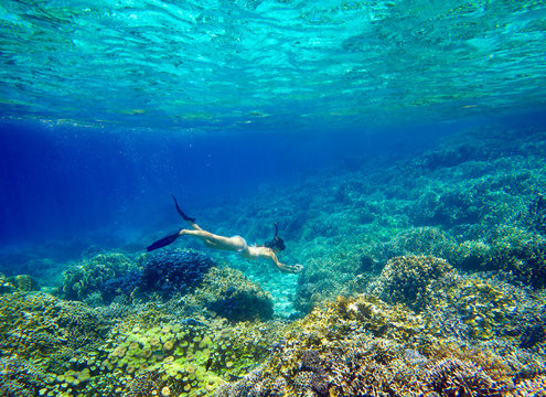 Young woman snorkeling in the beautiful coral reef