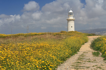 Fototapeta na wymiar Road through the blooming field to the lighthouse. Cyprus