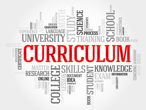 CURRICULUM word cloud, education business concept