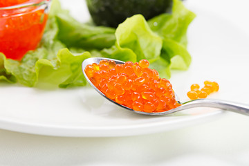 red caviar in spoon