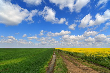 landscape with a farm field under sky with clouds