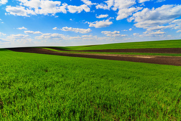 Fototapeta premium landscape with a farm field under sky with clouds
