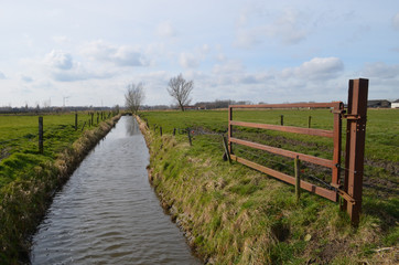 Fototapeta na wymiar small river in countryside, Belgium