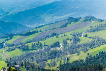 Green farmland on rolling hills