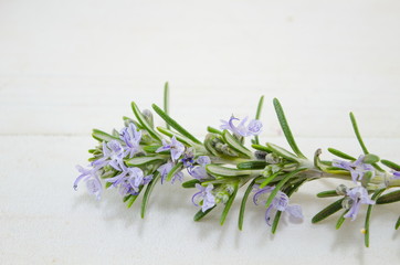 Rosemary branch on a table