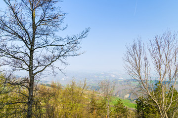 Green farmland on rolling hills