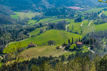 Obraz premium Green farmland on rolling hills