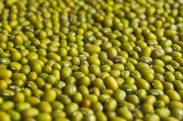 mung beans in a bowl