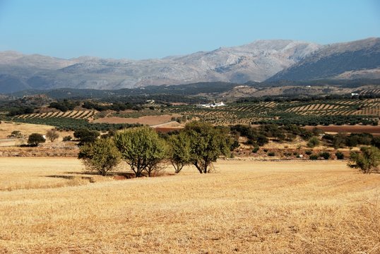 Spanish countryside, Andalusia &copy; Arena Photo UK