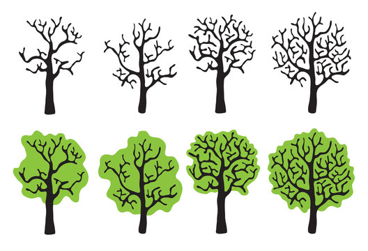 Set of trees with and without foliage, vector illustration