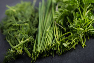 Spring garden fresh chives,parsley and dill on black slate  back