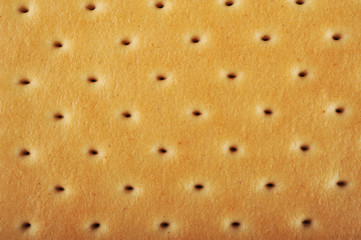 Biscuit cookie texture
