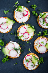 Crackers with cottage cheese, radish, cucumber decorated with cr