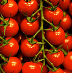 Cherry Tomatoes Background