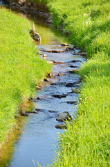 Ruisseau de boissieux (Loire)