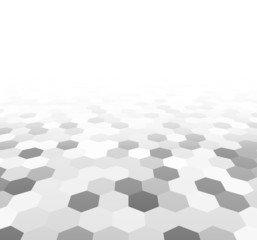 Perspective grid hexagonal surface.
