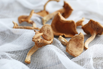 Dried mushrooms on white fabric, closeup