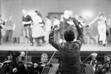 Orchestra conductor leading the musicians in the theater - obrazy, fototapety, plakaty