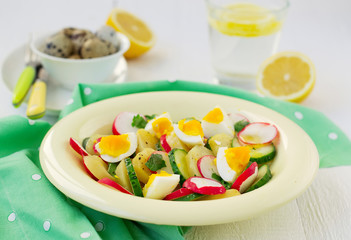 Fototapeta na wymiar salad with cucumber, potatoes, radishes and eggs