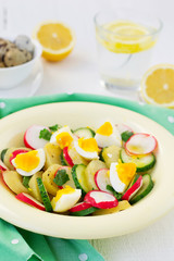 salad with cucumber, potatoes, radishes and eggs