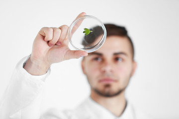 Man holding Petri dish with green leaf, close up