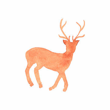 Watercolor deer on the white background, aquarelle. Vector