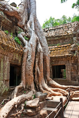 Ancient ruins of Ta Prohm temple in Angkor Wat, Cambodia