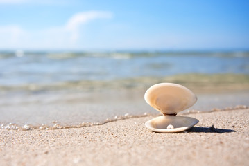 Fototapeta na wymiar Sea shell with pearl