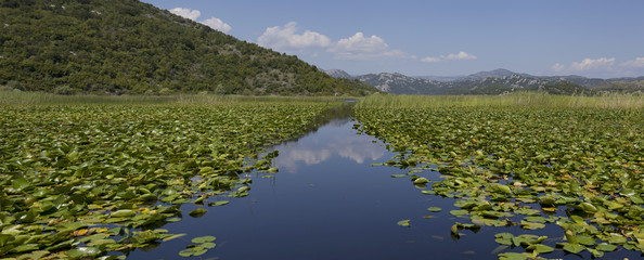 Skadar Lake, Montenegro.
