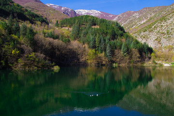 Fototapeta na wymiar Lago dalle acque verdi