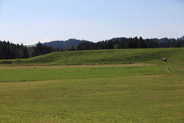 Fototapeta premium Fernblick im Allgäu