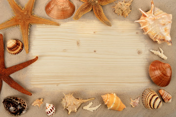 Muscheln Seesterne Sand und Holz