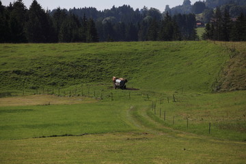 Fernblick im Allg&auml;u