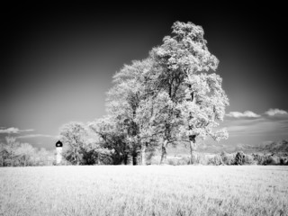 infrared photography landscape