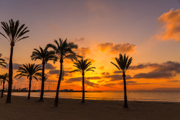 Fototapeta na wymiar Majorca El Arenal sArenal beach sunset near Palma