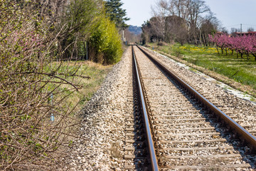 Fototapeta premium railroad tracks toward the horizon along blossoming peach trees