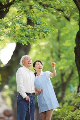介護・新緑