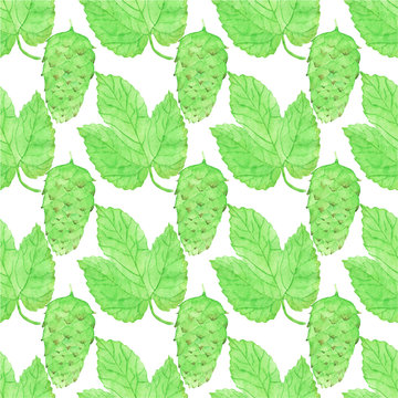 Watercolor seamless pattern with hops on the white background
