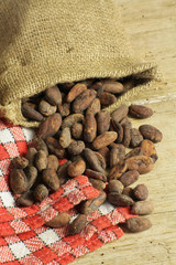 fèves de cacao 23042015