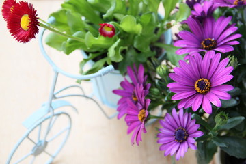 Dekoration Fahrrad mit Blumen