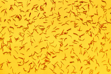 flower petals on yellow background